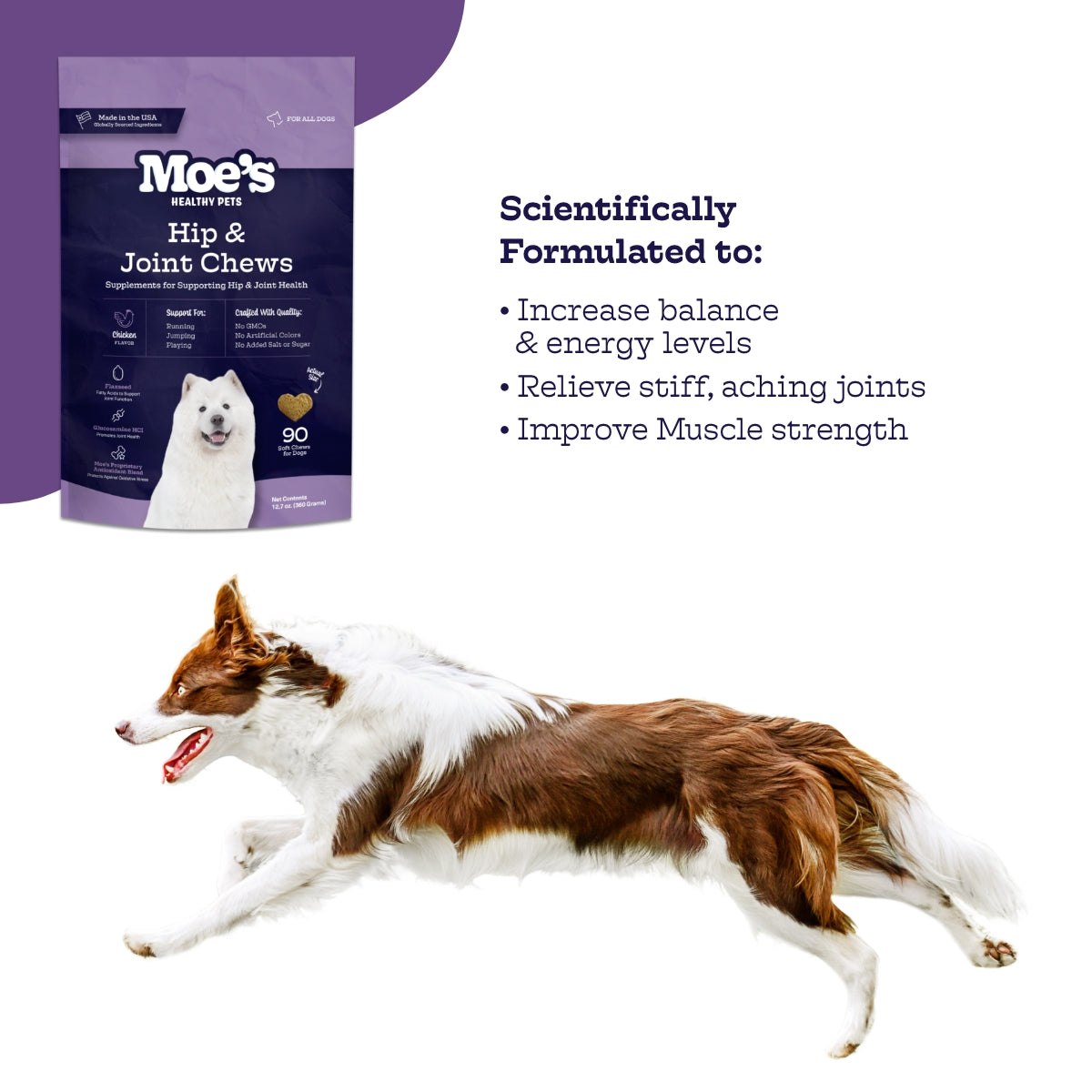 Hip & Joint Chews